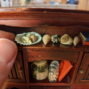 May include: A miniature wooden cabinet with a shelf displaying a white dish with seashells, a row of seashells, and two books. The cabinet has a closed door with vertical slats.