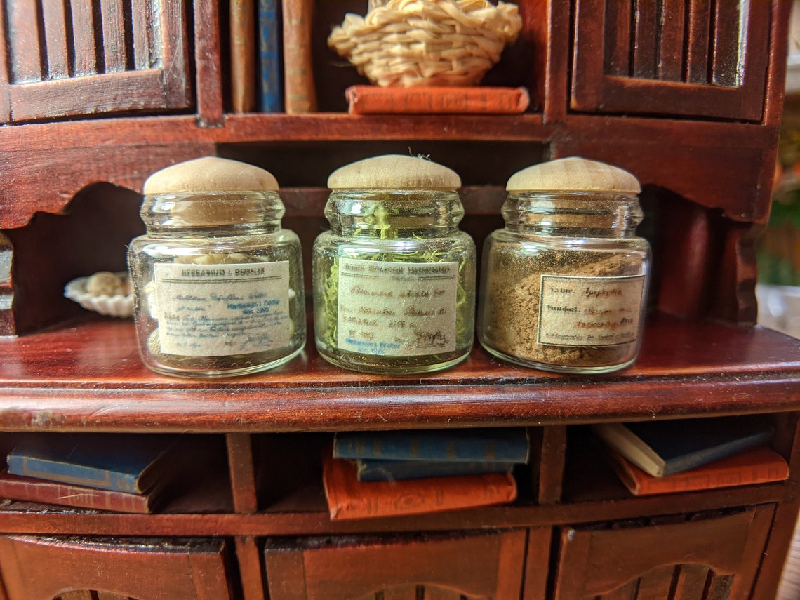 Miniature Natural History Specimen Jars With Labels and Real Etsy