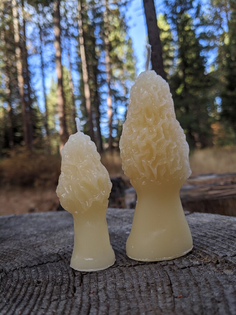 Morel Mushroom Candle Recycled Forest Candle Ecofriendly Etsy