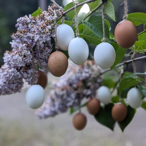 Op de afbeelding: Een tak met groene bladeren en paarse bloemen, versierd met hangende eieren. Sommige eieren zijn wit, andere bruin, opgehangen met touw. De achtergrond is wazig, wat wijst op een natuurlijke buitenomgeving.