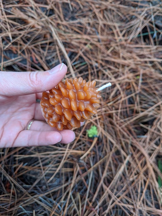 Small pine cone candle, eco-friendly candle handmade from recycled/reclaimed wax, hand-poured, unique, many colors, 2 in. tall