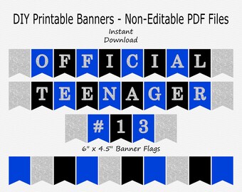 Official Teenager #13 Banner - Blue, Black & Silver Sparkle - Boy - PRINTABLE - INSTANT DOWNLOAD
