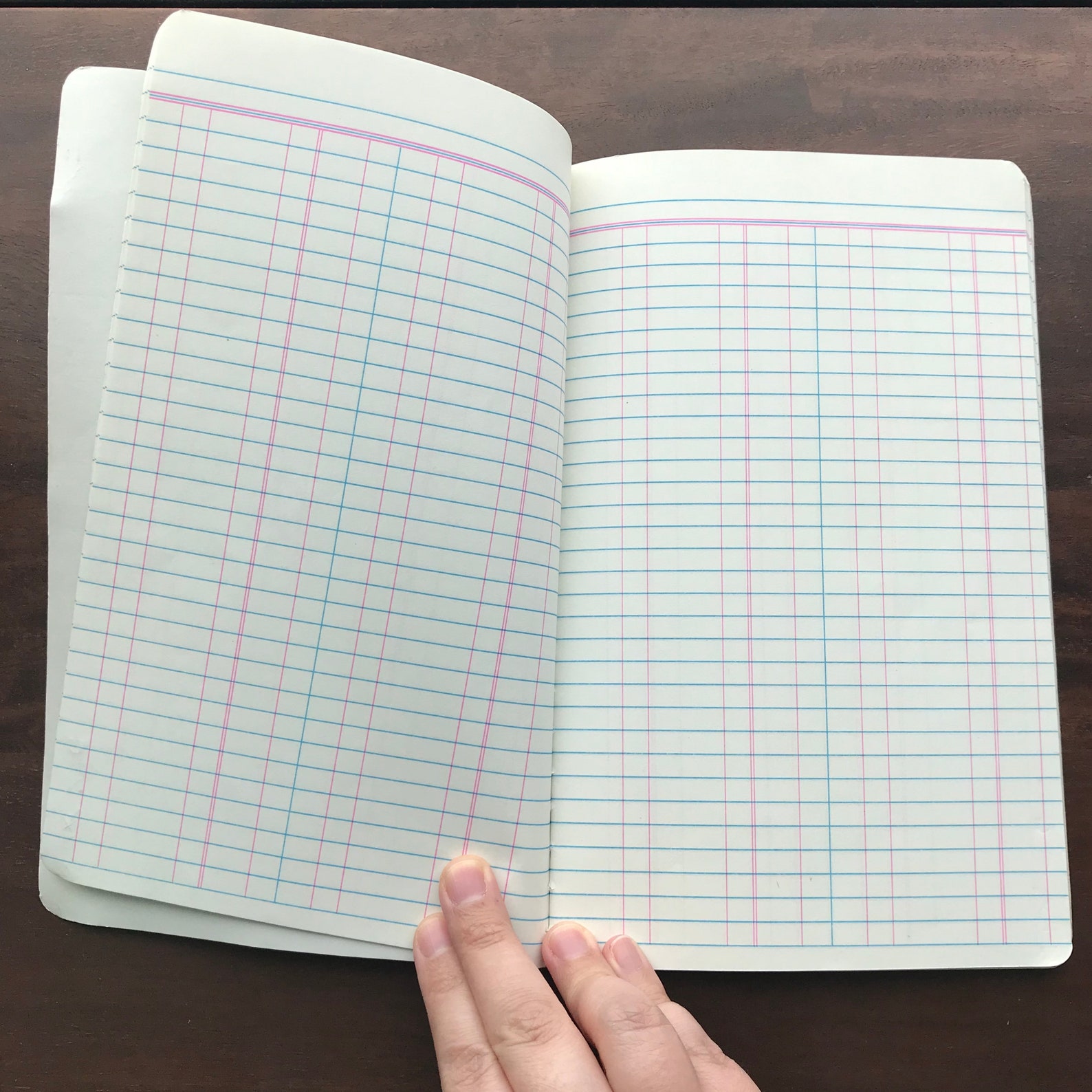 Vintage brown ledger book Woolworth columnar paper Etsy