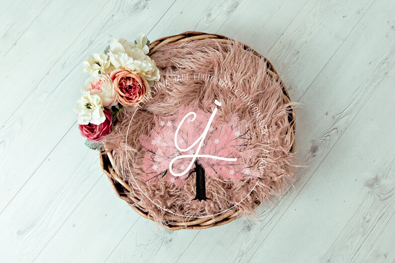 basket newborn