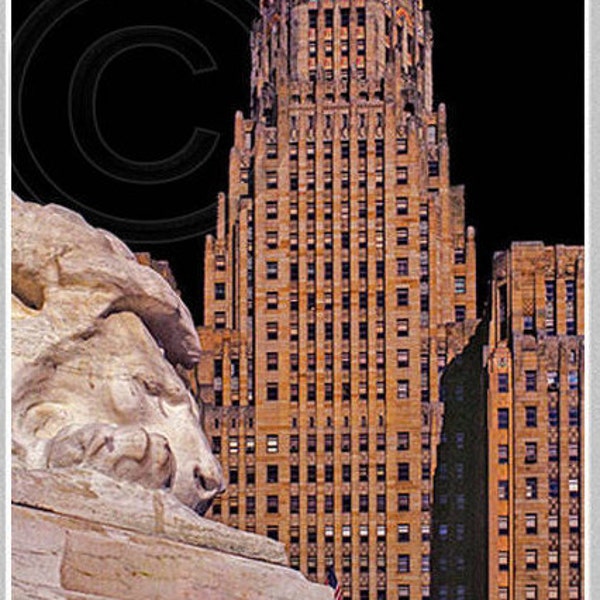 City Hall Lion - Buffalo NY