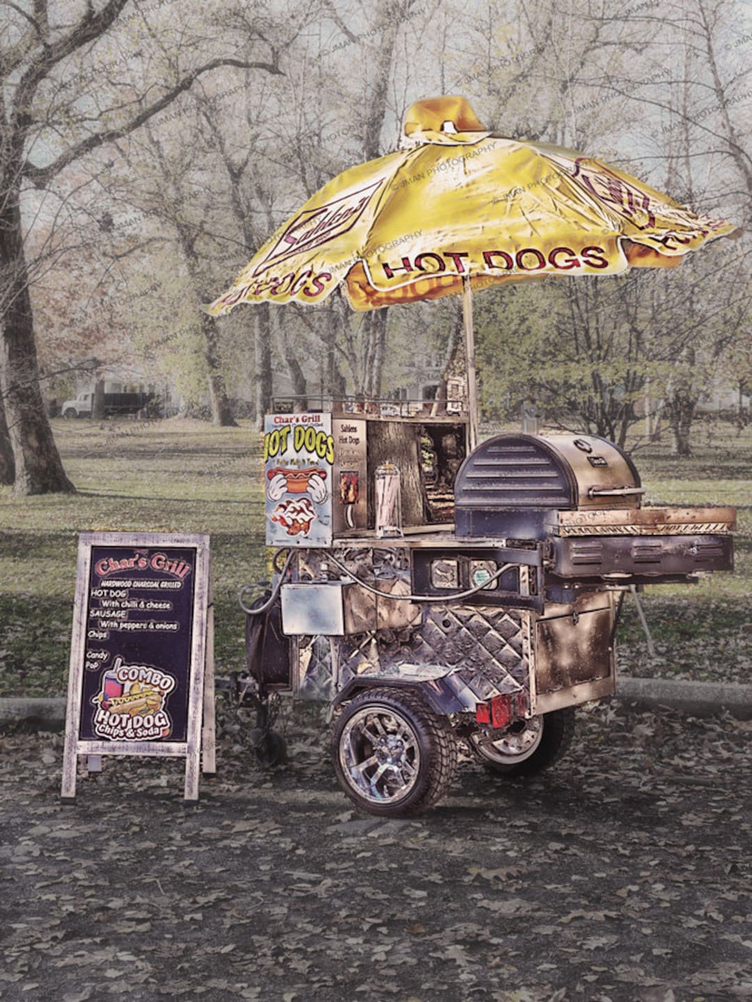 the-hot-dog-cart-wall-art-etsy