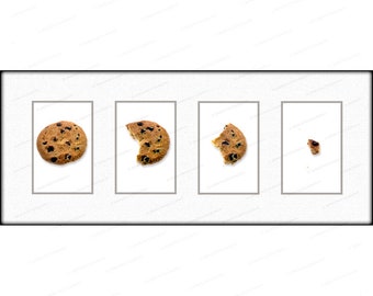 Chocolate Chip Cookie Art Series Photograph