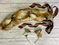 Coffee Caramel Kitten Set Ears and Tail BDSM Petplay