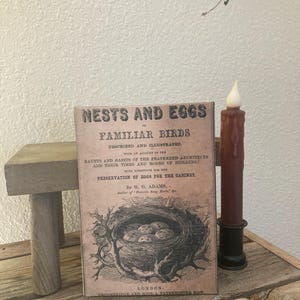 May include: A vintage book titled "Nests and Eggs" with illustrations of birds and nests. The book is brown with black text and a detailed drawing of a bird's nest with eggs. A battery-operated candle sits to the right.
