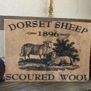 May include: A vintage-style sign with the text "Dorset Sheep 1896 Scoured Wool" printed on it. The sign features a black and white illustration of two sheep in a field.