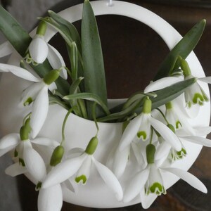 Flower basket fine white porcelain / spring flowers / succulents / tillandsias in a cream colored gift box image 3