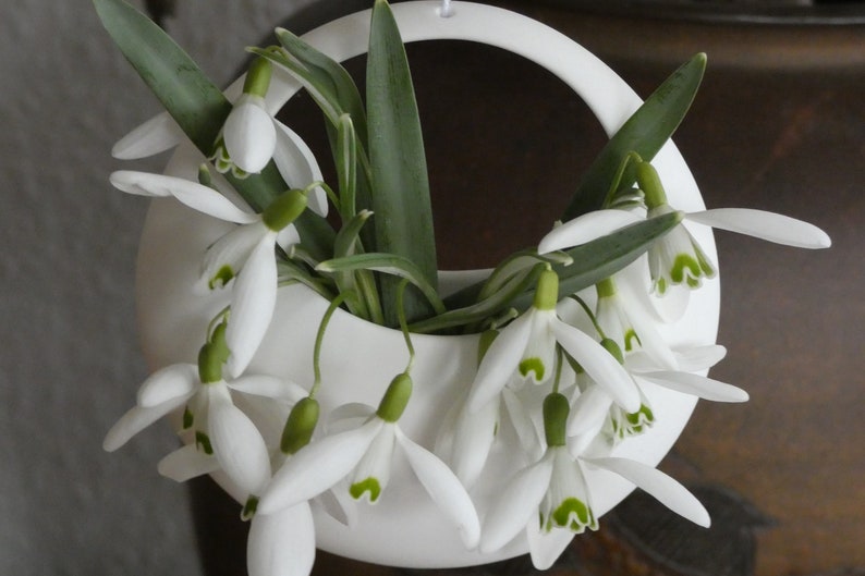 Flower basket fine white porcelain / spring flowers / succulents / tillandsias in a cream colored gift box image 3