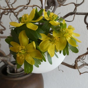 Flower basket fine white porcelain / spring flowers / succulents / tillandsias in a cream colored gift box image 5