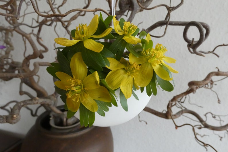 Flower basket fine white porcelain / spring flowers / succulents / tillandsias in a cream colored gift box image 5