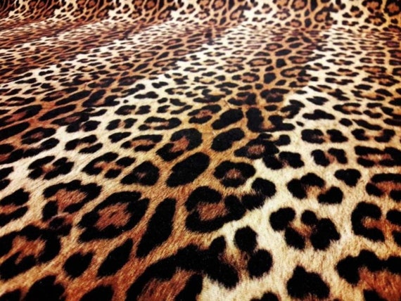 Brown Leopard Cheetah Print Fabric by The Yard, Wild Animal Upholstery Material