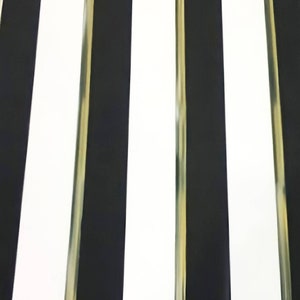 May include: A close-up of a black and white striped pattern. The stripes are vertical, with alternating black and white bands. A ruler is at the bottom, showing centimeters.