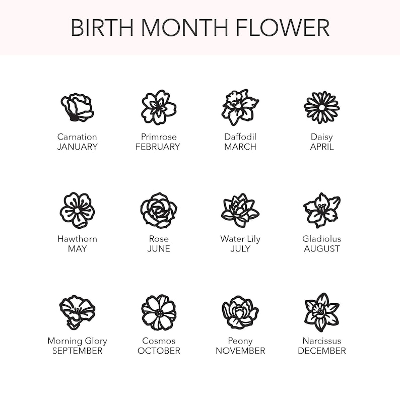 May include: A white graphic featuring twelve different flower illustrations, each representing a birth month. The text "BIRTH MONTH FLOWER" is at the top. Each flower is labeled with its name and the corresponding month.
