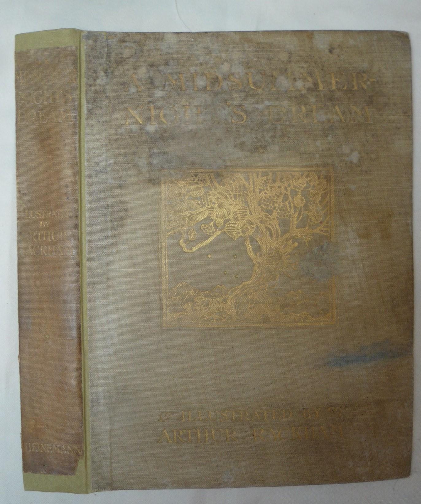Original 1911 Arthur Rackham Fairy Book Plate Print From 
