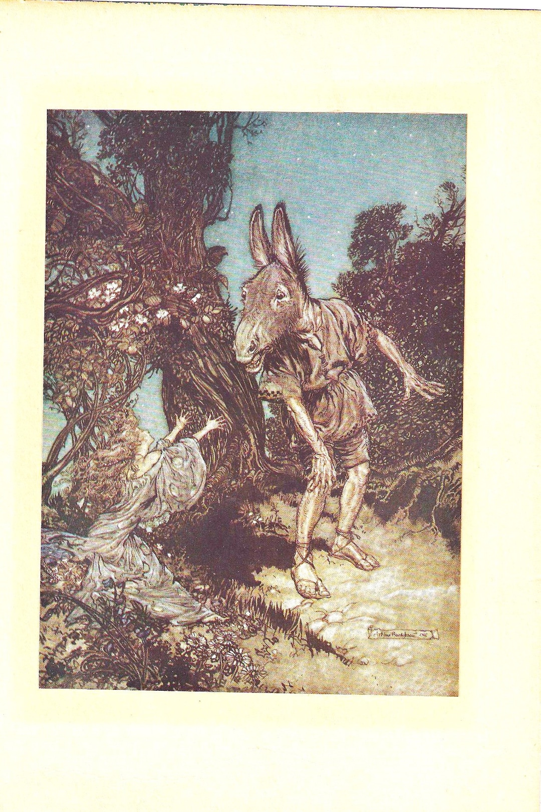 Original 1911 Arthur Rackham Fairy Book Plate Print From 