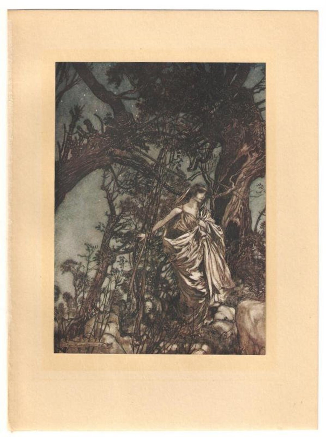 Original Vintage 1919 Arthur Rackham Art Nouveau Book Plate Print From ...