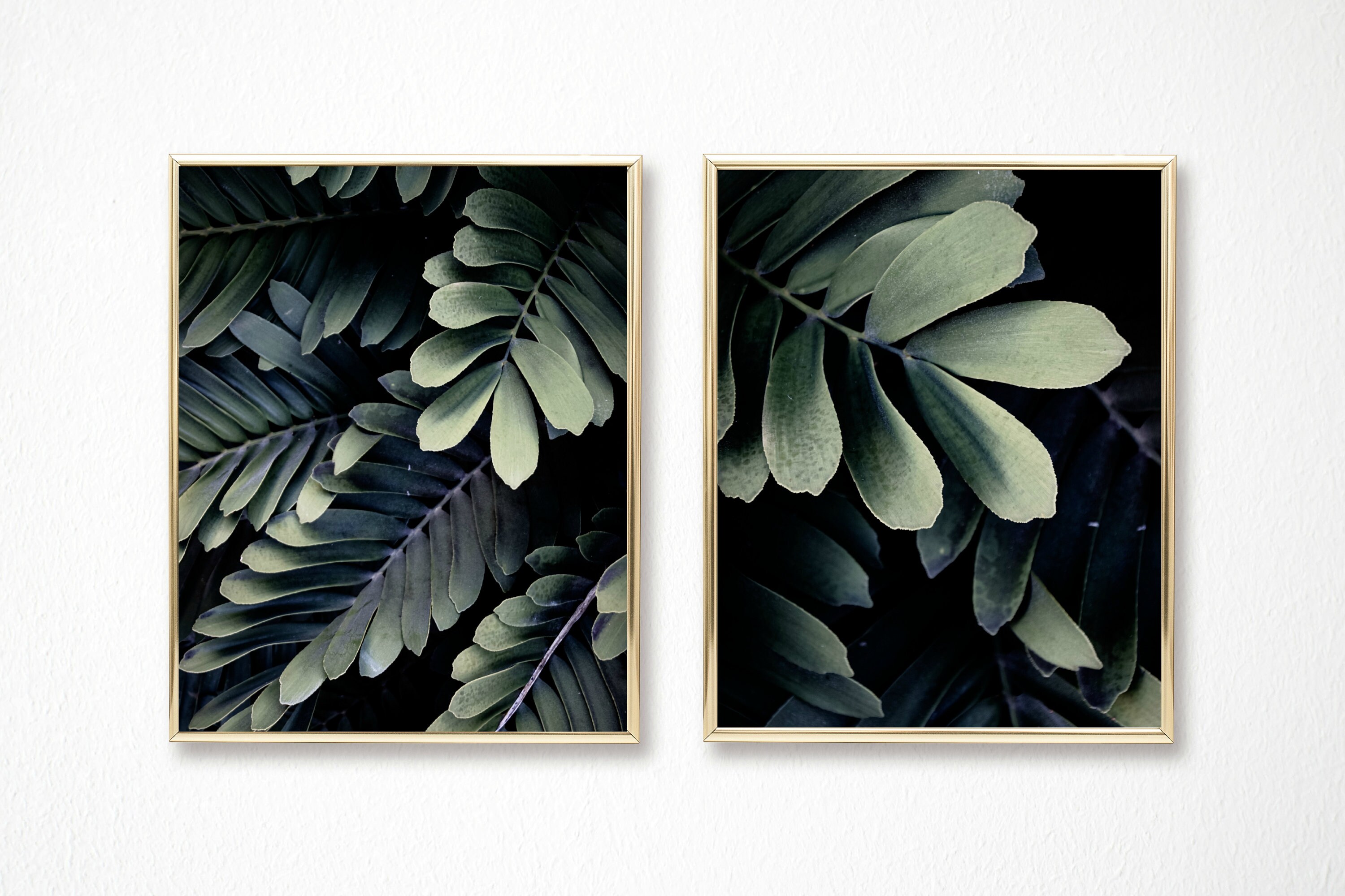 Print 101 Set of Two Dark Botanical Prints Etsy