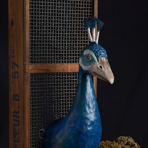 PRE-ORDER peacock paper mache