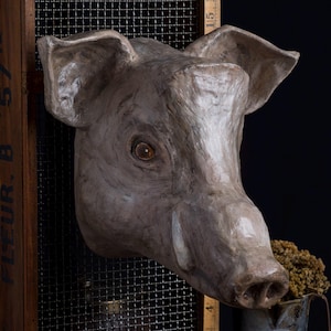 Boar paper mache