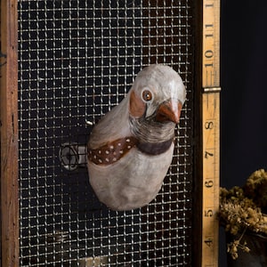 PRE-ORDER zebra finch paper mache