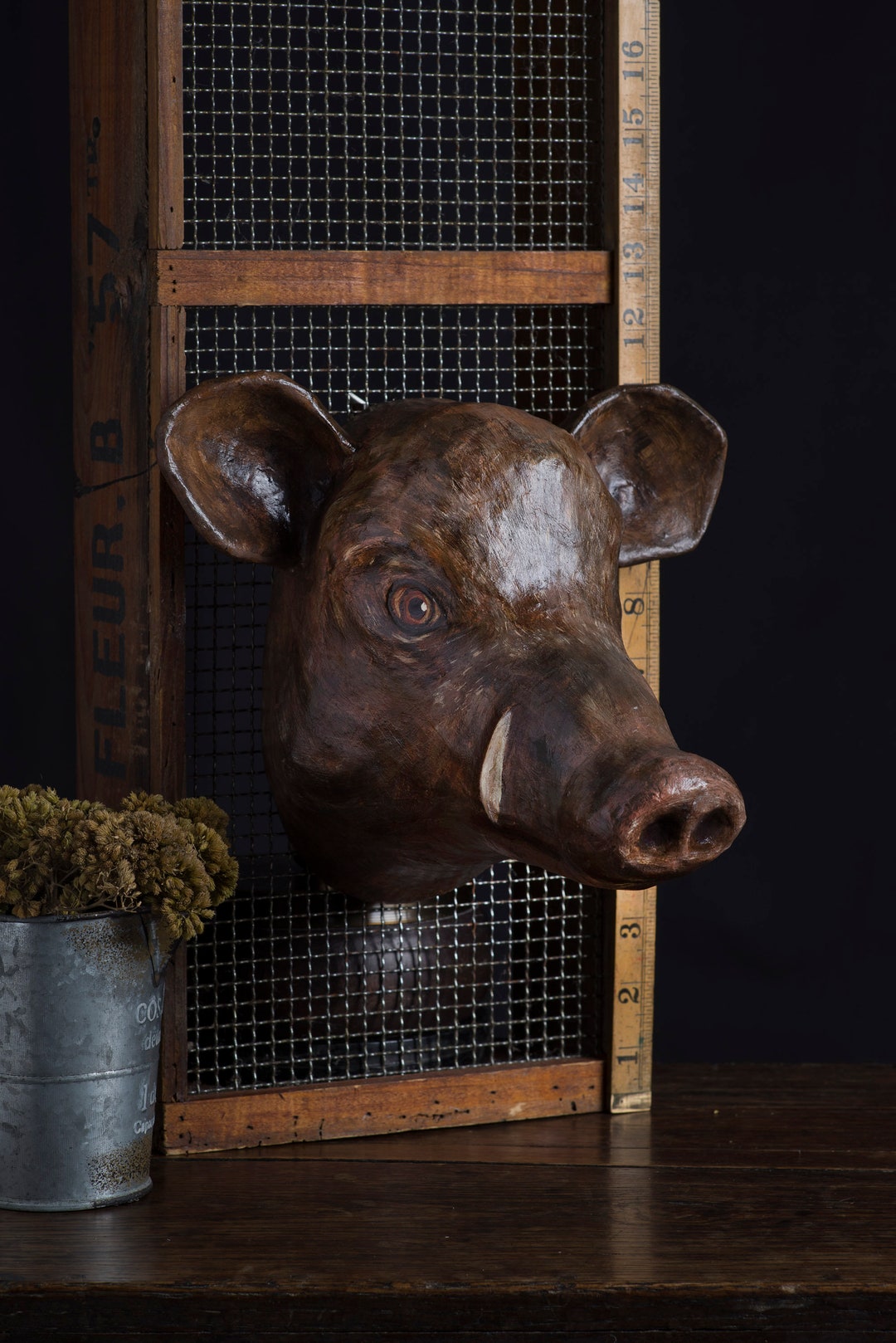 Paper Mache Boar Head Wall Mount Home Decor Animal Head Etsy