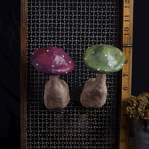 set of mushrooms