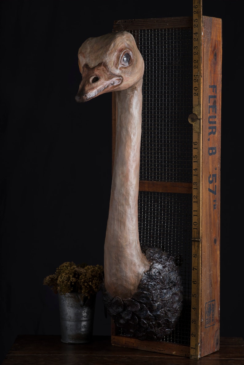 Paper mache ostrich head wall mount home decor animal Etsy