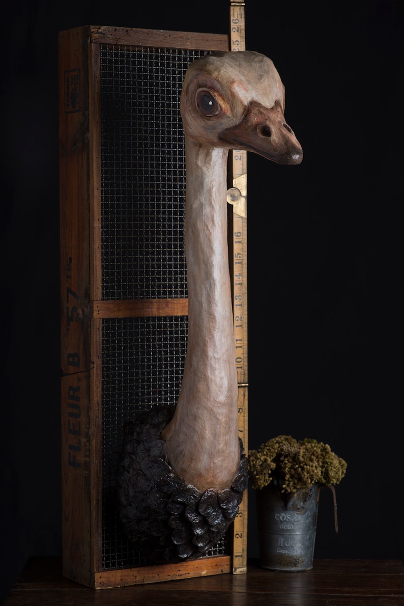 Paper mache ostrich head wall mount home decor animal Etsy