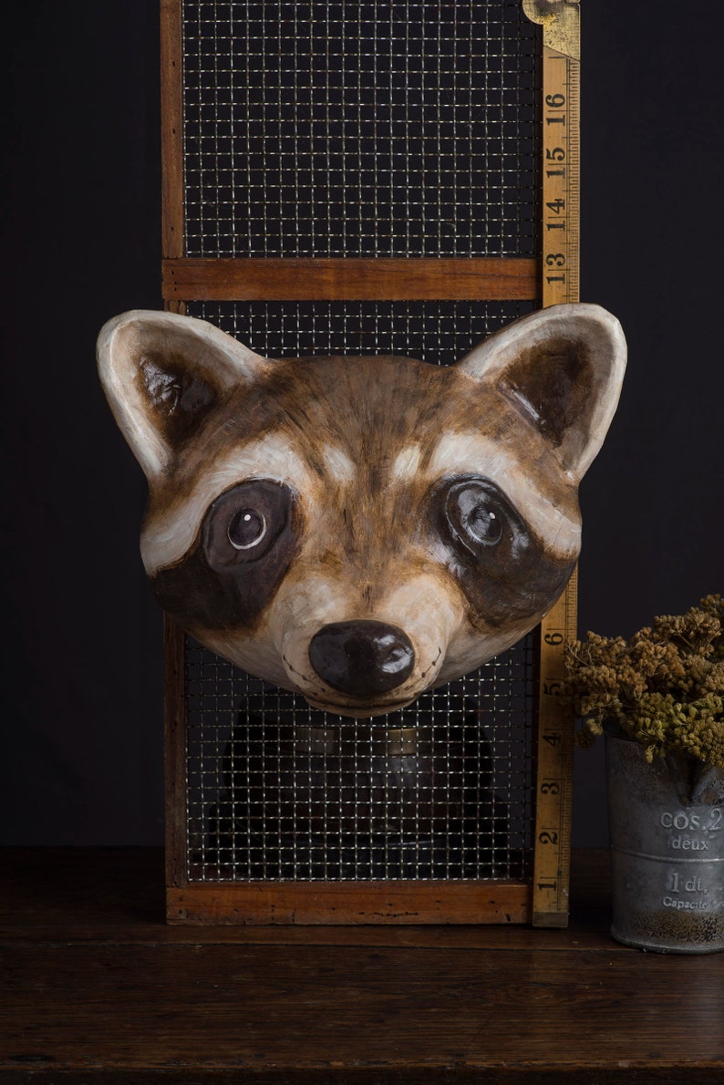Paper Mache Raccoon Head Wall Mount Home Decor Animal Etsy