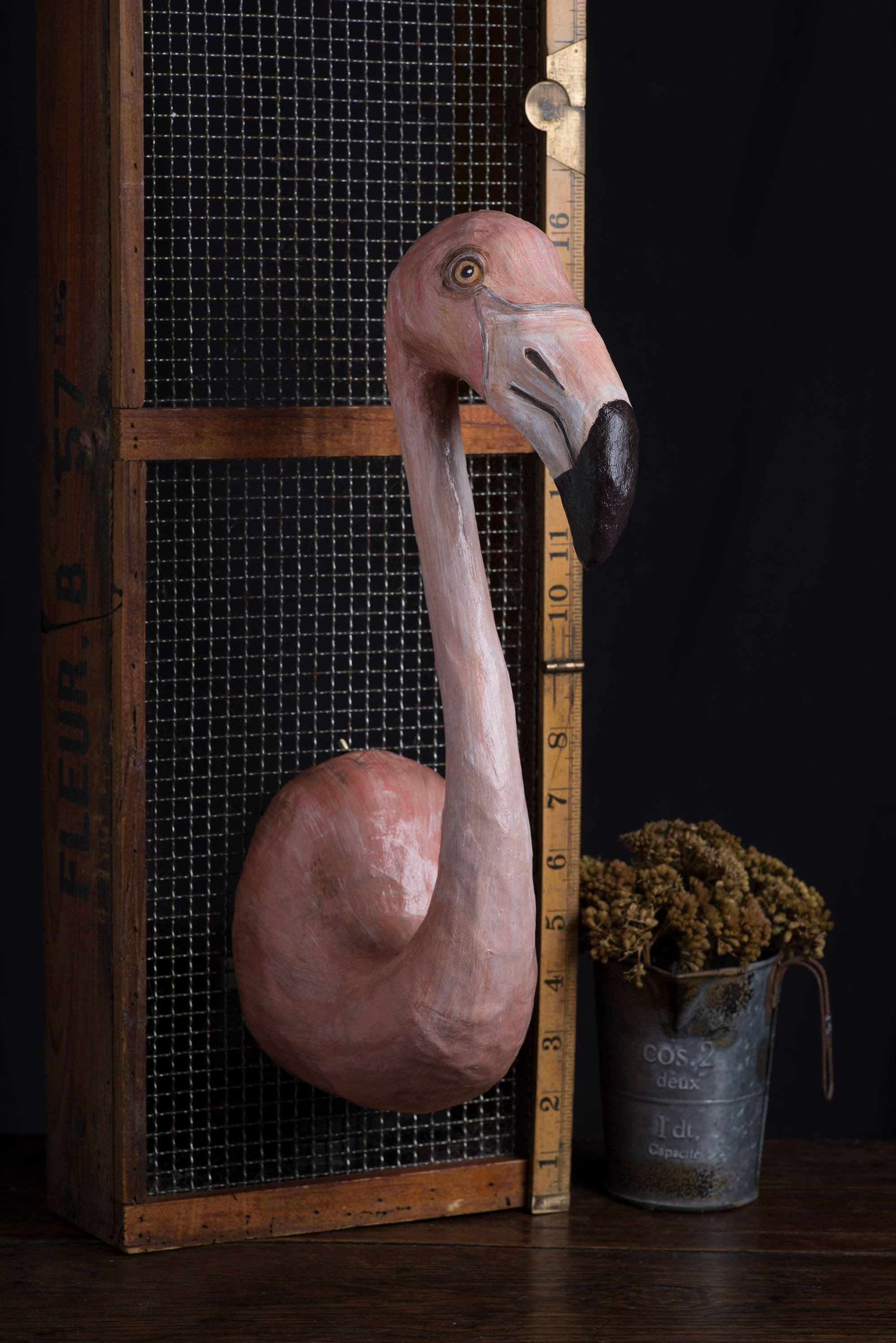 Flamingo taxidermy - Etsy 日本