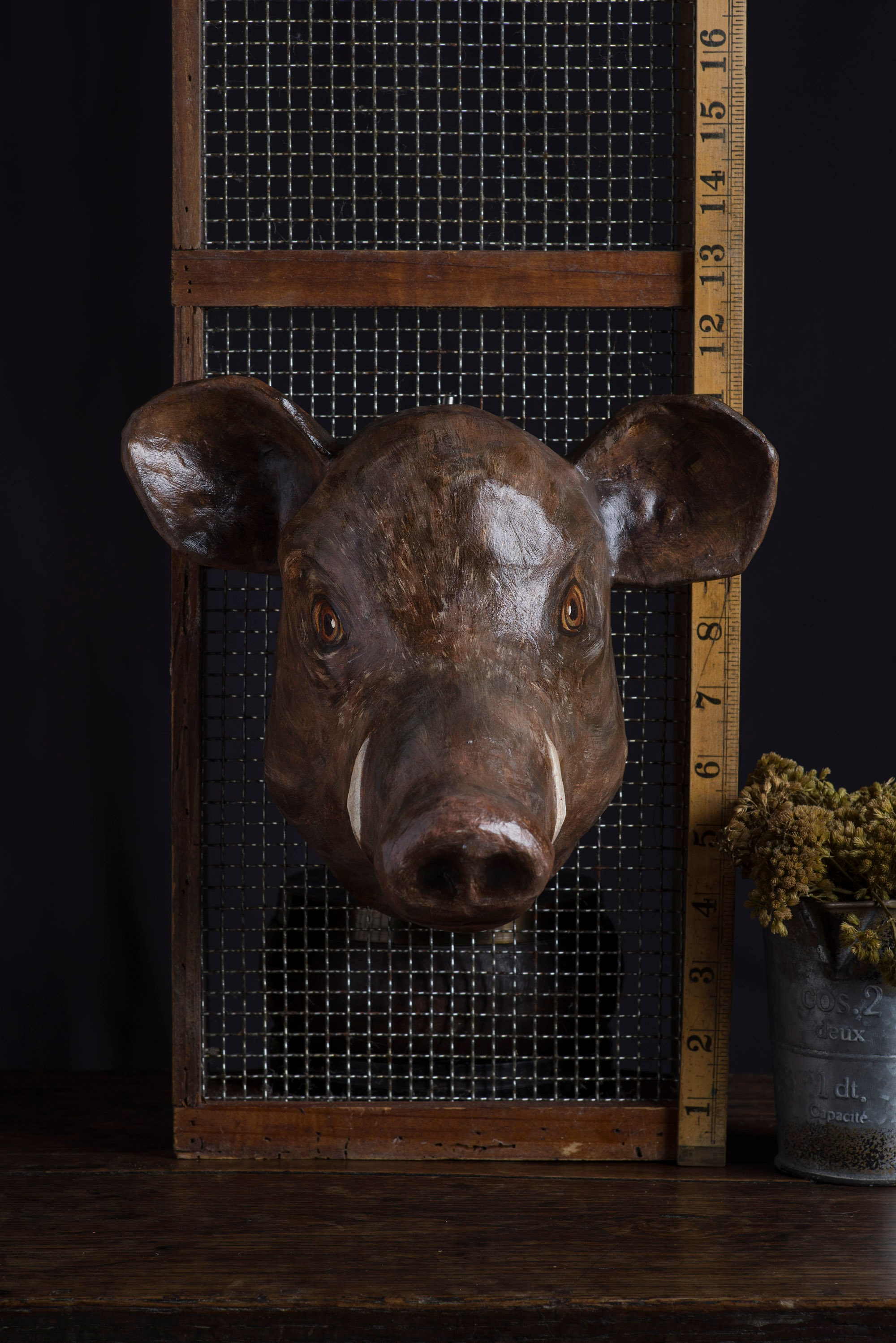 Paper Mache Boar Head Wall Mount Home Decor Animal Head Etsy