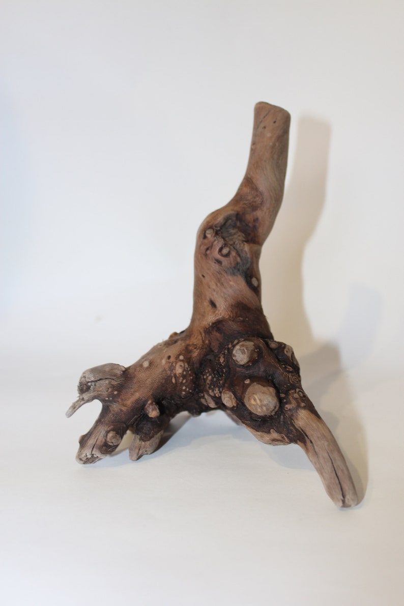 Decorative Driftwood Driftwood Pieces Beach Crafts Dry Etsy