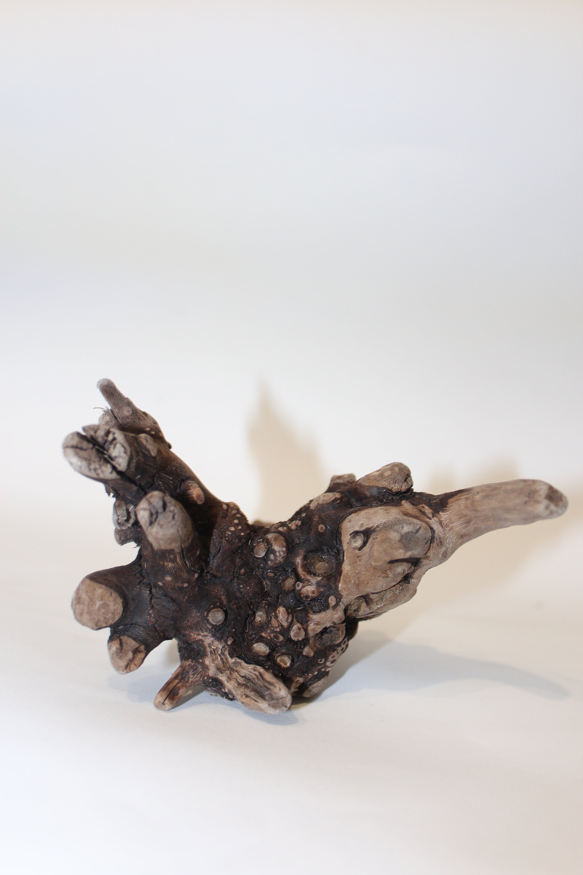 Decorative Driftwood Driftwood Pieces Beach Crafts Dry Etsy