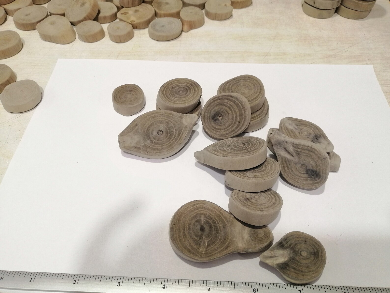 15 Beautiful Driftwood Pieces Set Round Driftwood driftwood Etsy