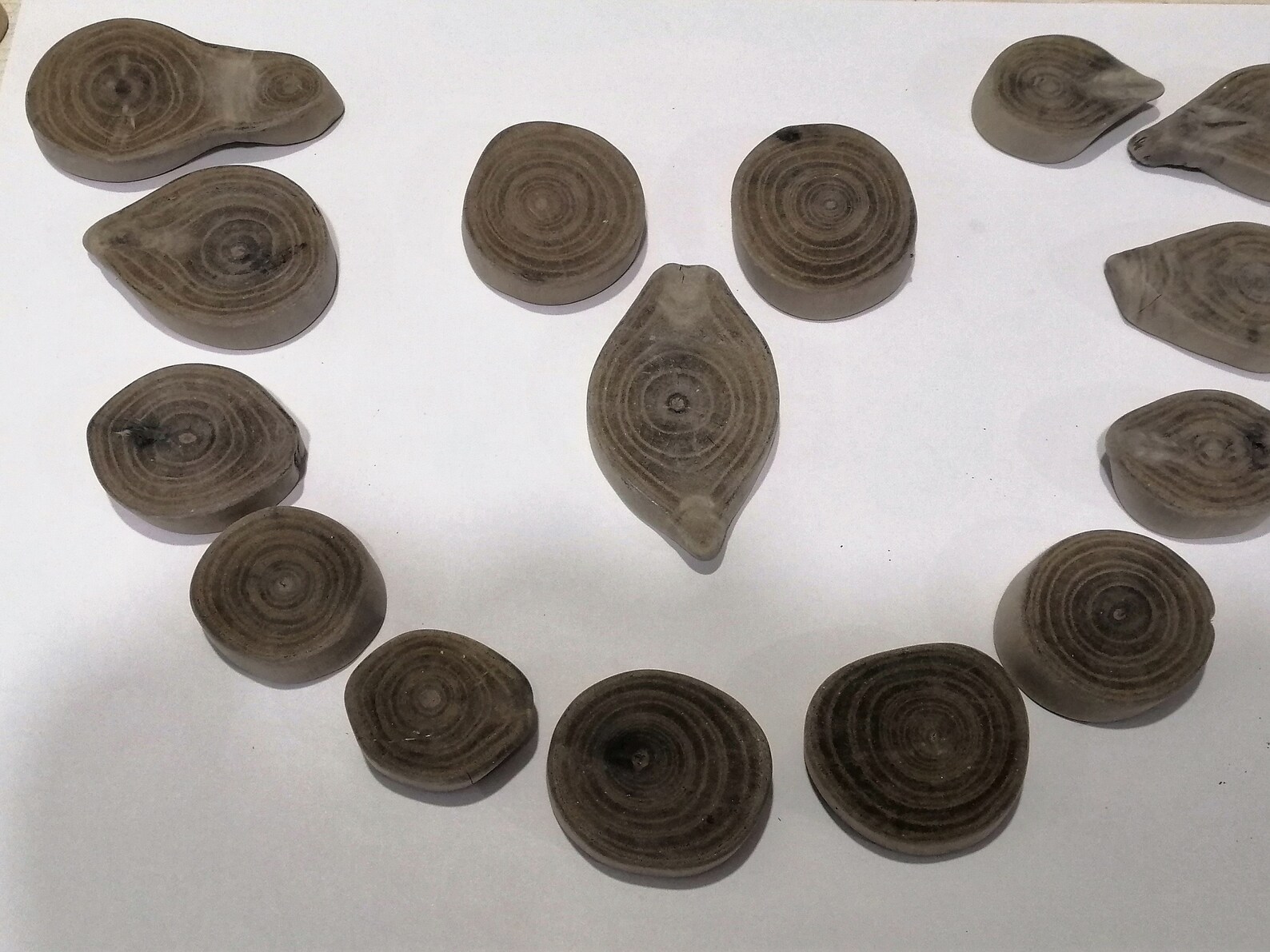 15 Beautiful Driftwood Pieces Set Round Driftwood driftwood Etsy