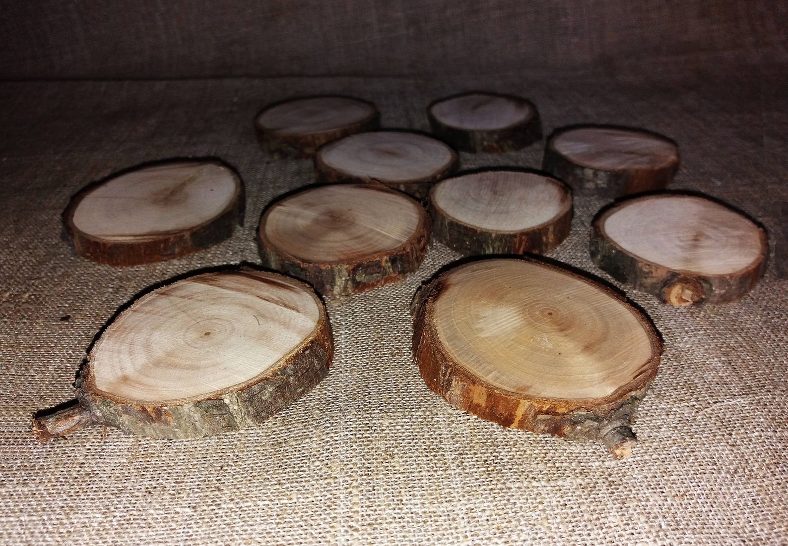 Pear Wood Slices Rustic Tree Branch Slices Wooden Slices Etsy
