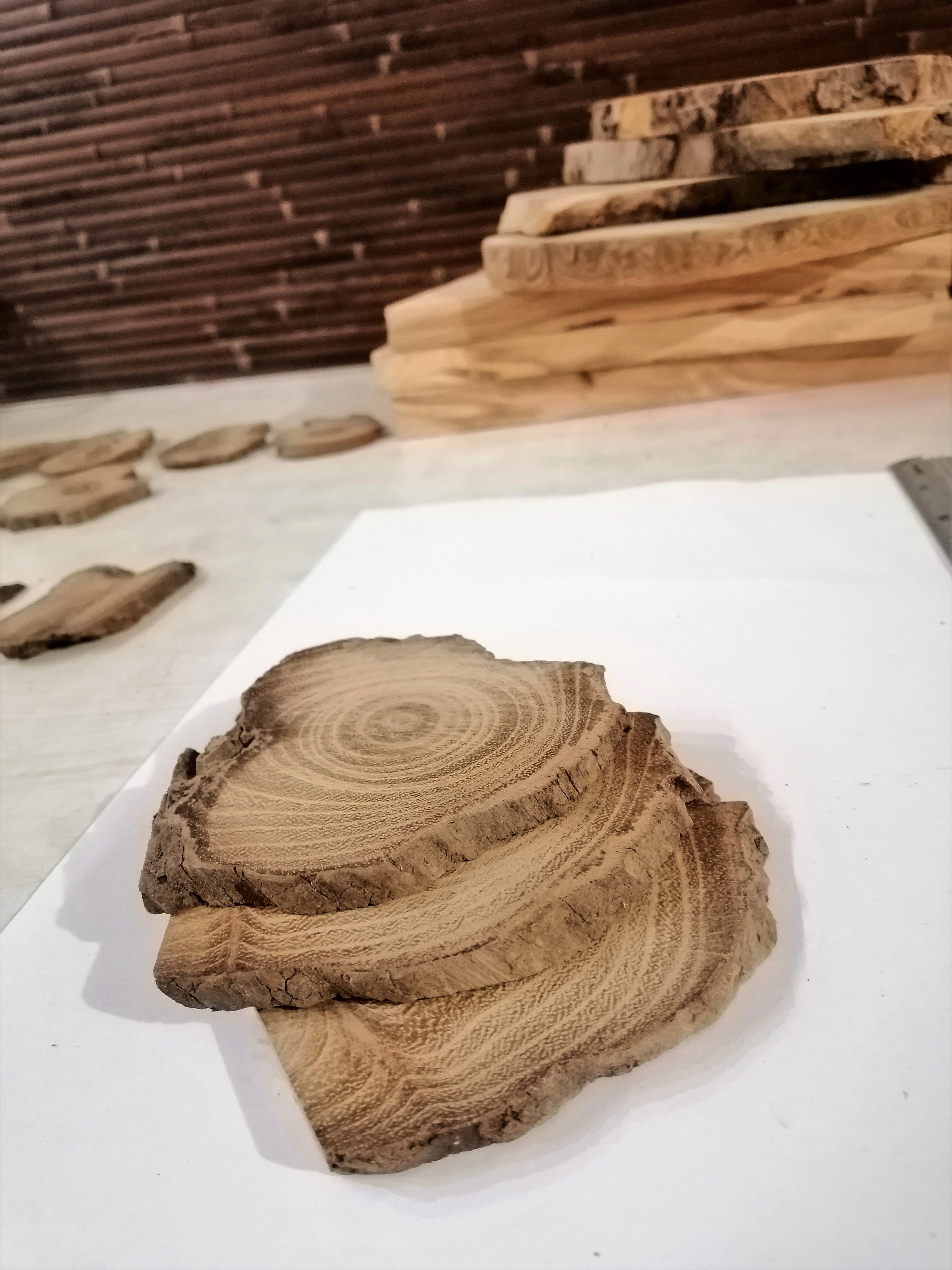 3 Beautiful Driftwood Pieces Set Round Driftwood driftwood Etsy