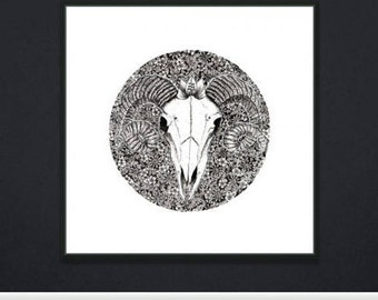 Limited edition hand drawn floral print: 'Enlightenment'
