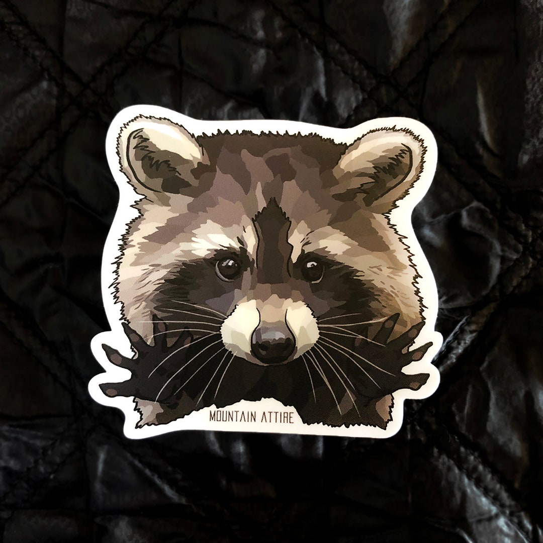 Raccoon Sticker - Etsy