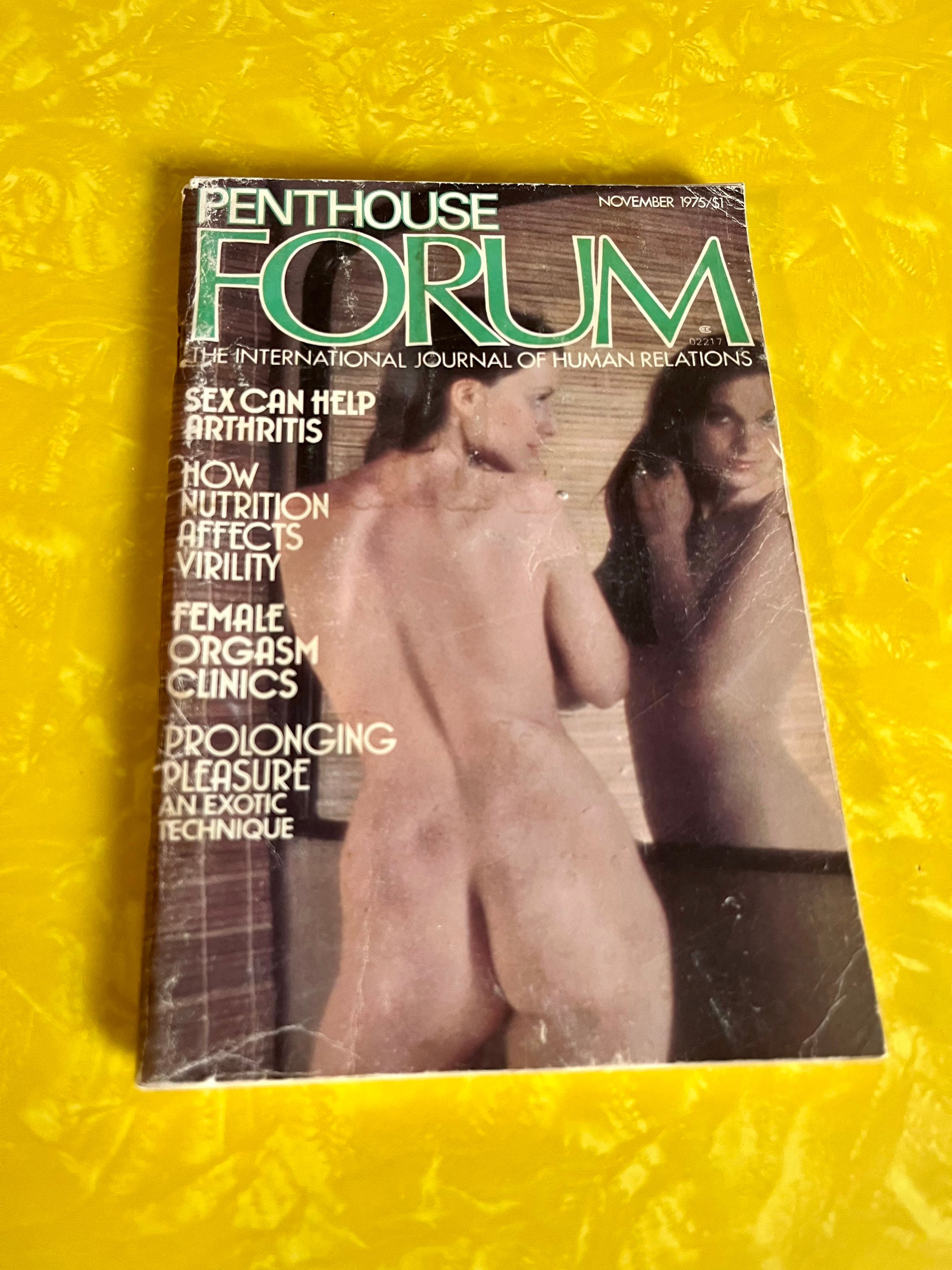 Vintage Penthouse Forum November 1975 pic