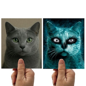 May include: Two cat portraits side-by-side. The left image is a gray cat with green eyes. The right image is a teal-colored cat with white eyes and a black nose, giving it a spooky appearance. The images are held by a person's hand.