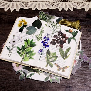 50 PCs Vintage botanique washi autocollants, fleurs de jardin botanique, scrapbook, collage, carte, ordure Journal, planificateur Essentials. TN