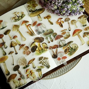 100 peças adesivos de velino de cogumelo vintage, cogumelos de jardim botânico, álbum de recortes, colagem, cartão, diário de lixo, fundamentos do planejador.