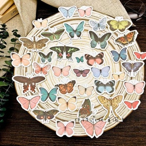 102 Pcs Vintage Vögel Schmetterlinge Washi Aufkleber, Insekten Schmetterling, Scrapbook, Collage, Junk Journal, Planer Essentials