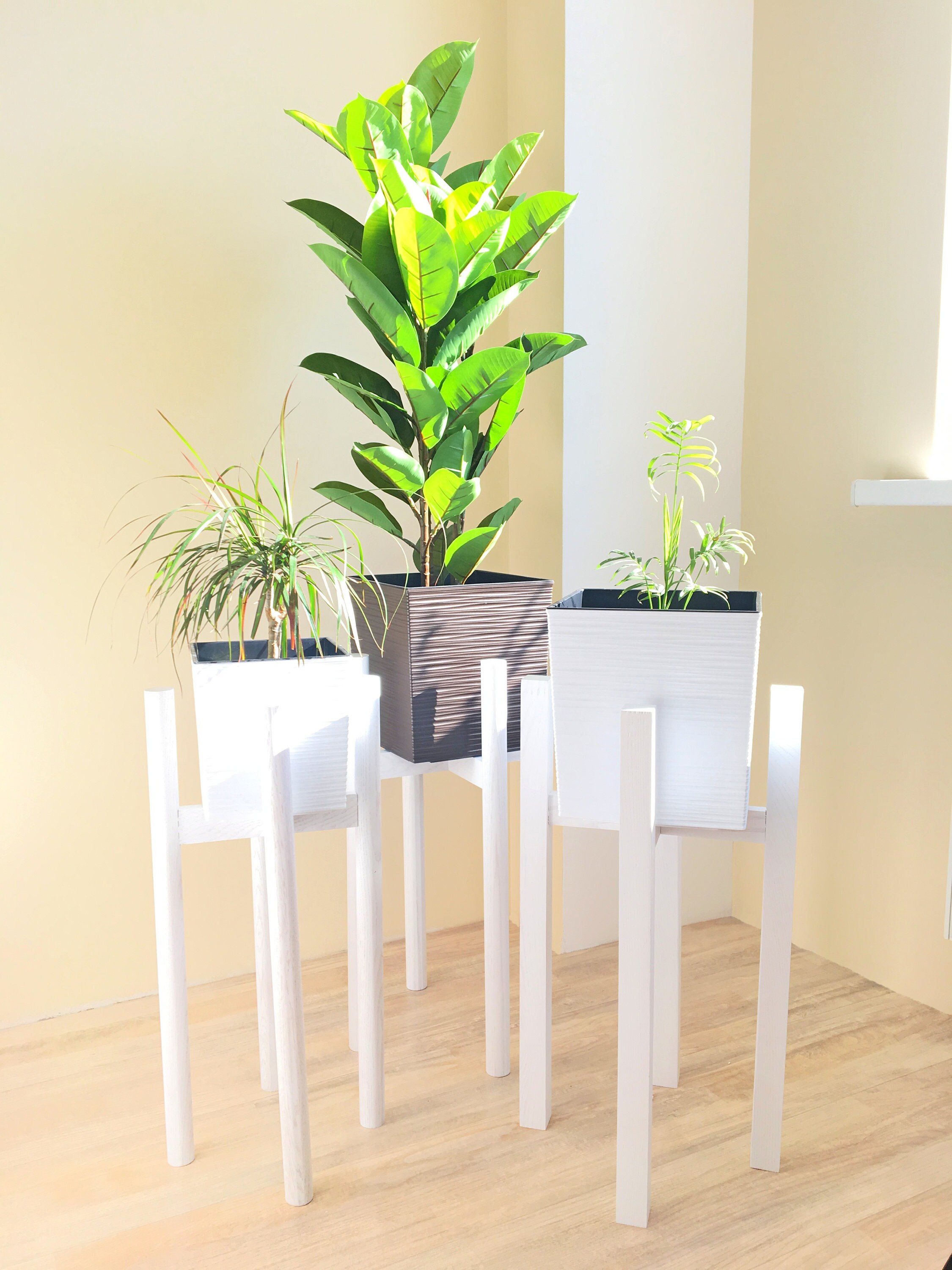 Mid century plant stand 60cm 24 tall White wood modern Etsy