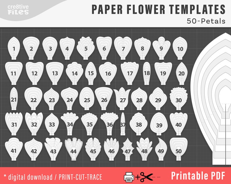 50 PDF PRINTABLE Paper Flower PETAL Templates, diy large Paper Flower Templates, molde de flores de papel / print-cut-trace flower templates image 1